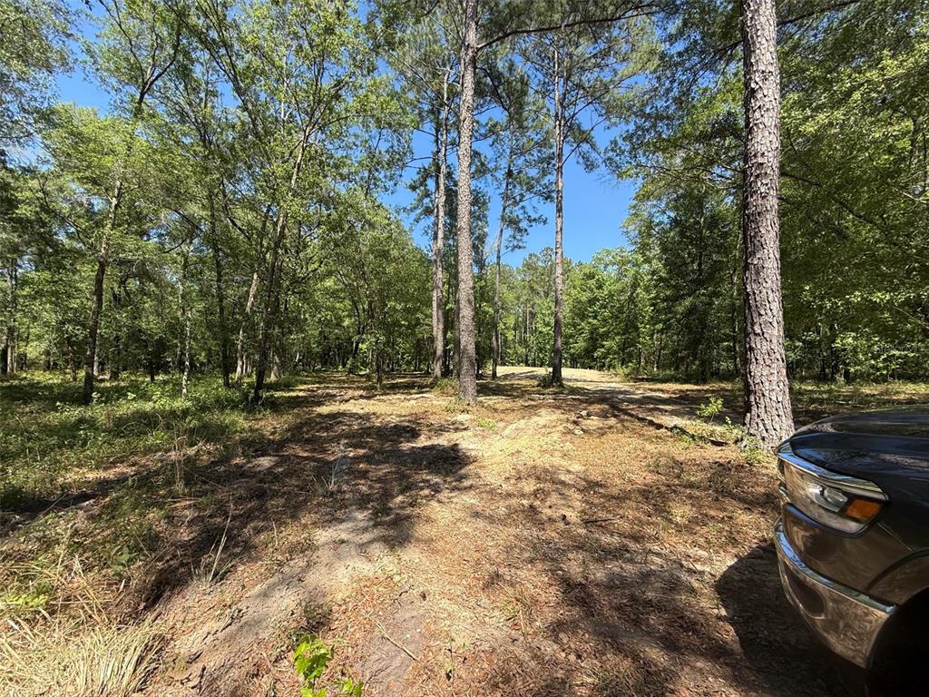 Property for sale at 0 NW 145 AVENUE, WILLISTON, FL, 32696