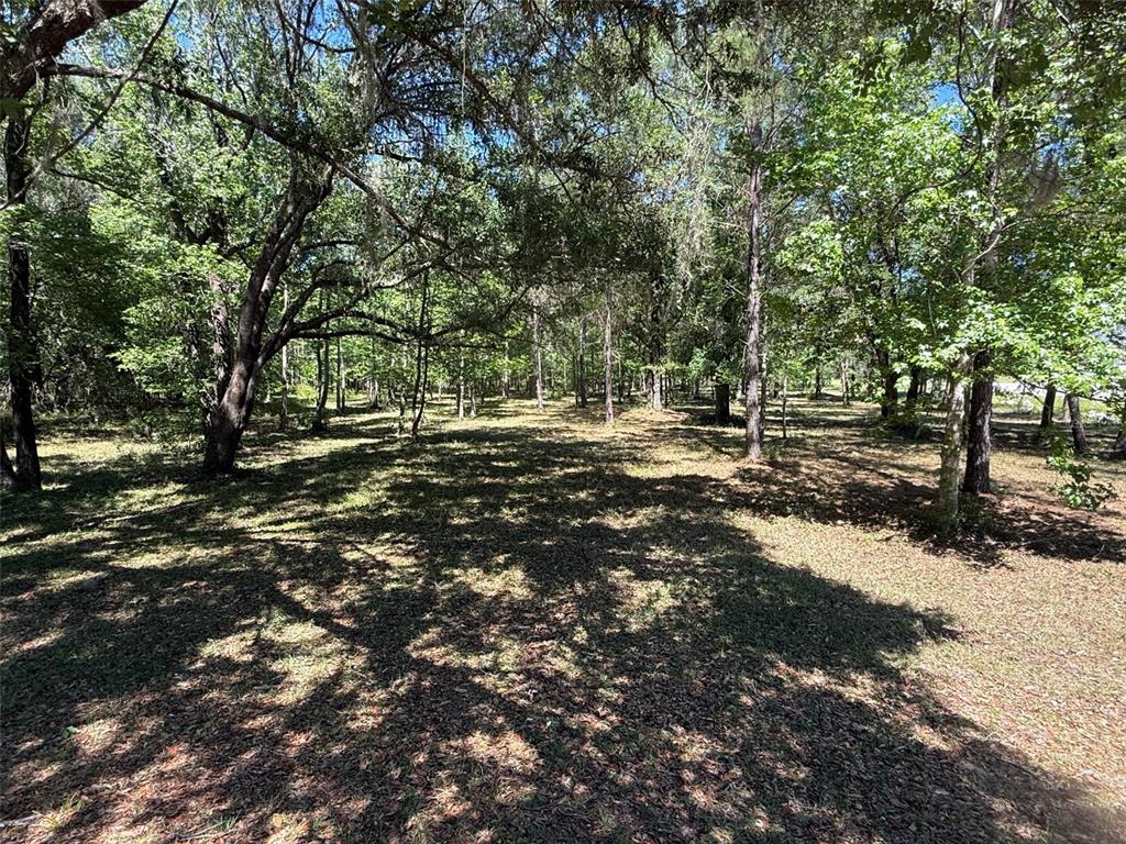 Property for sale at 0 NW 145 AVENUE, WILLISTON, FL, 32696