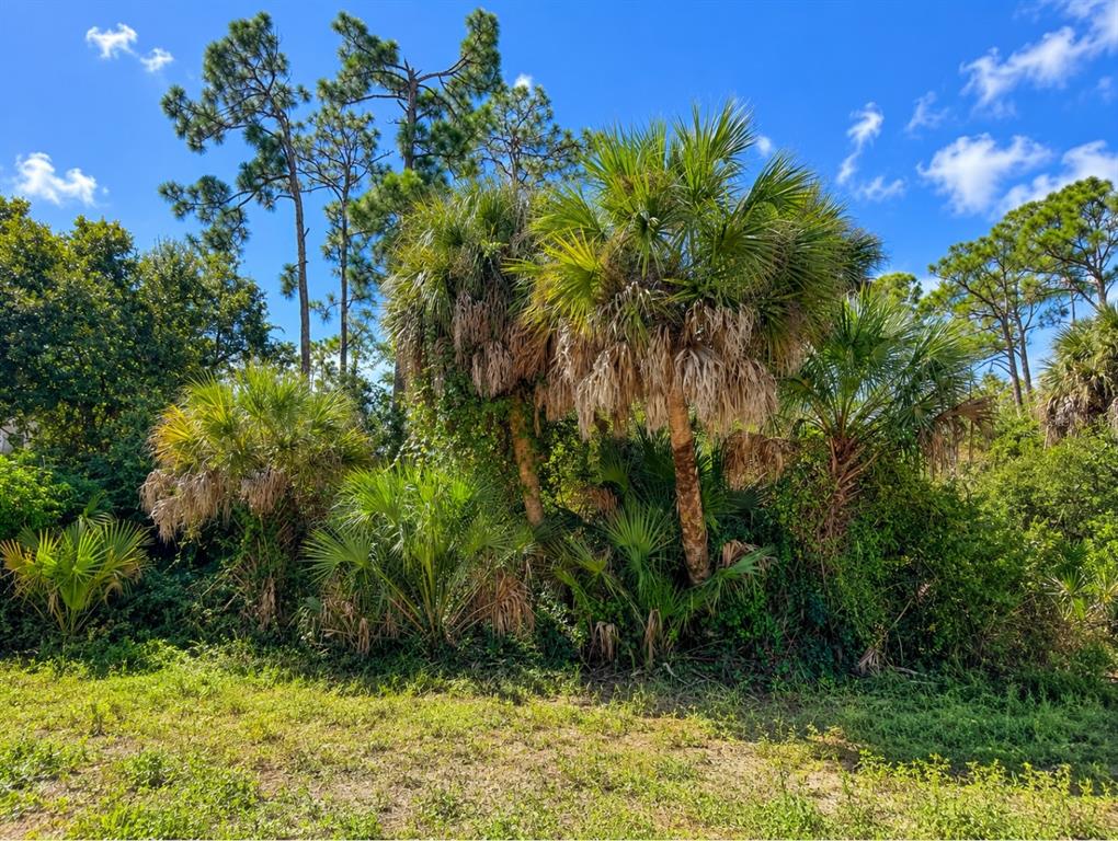 Property for sale at 17129 NIXON AVENUE, PORT CHARLOTTE, FL, 33948