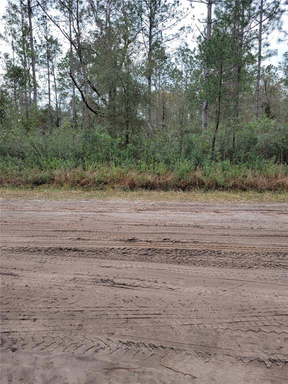 Property for sale at 5009 JONATHAN STREET, HASTINGS, FL, 32145