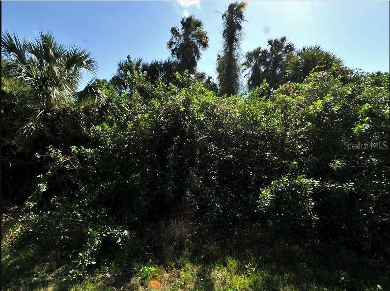 Property for sale at NEWMAN DRIVE, NORTH PORT, FL, 34288