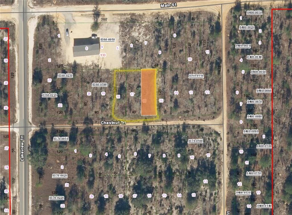Property for sale at TBD CHESTNUT TRL, INTERLACHEN, FL, 32148
