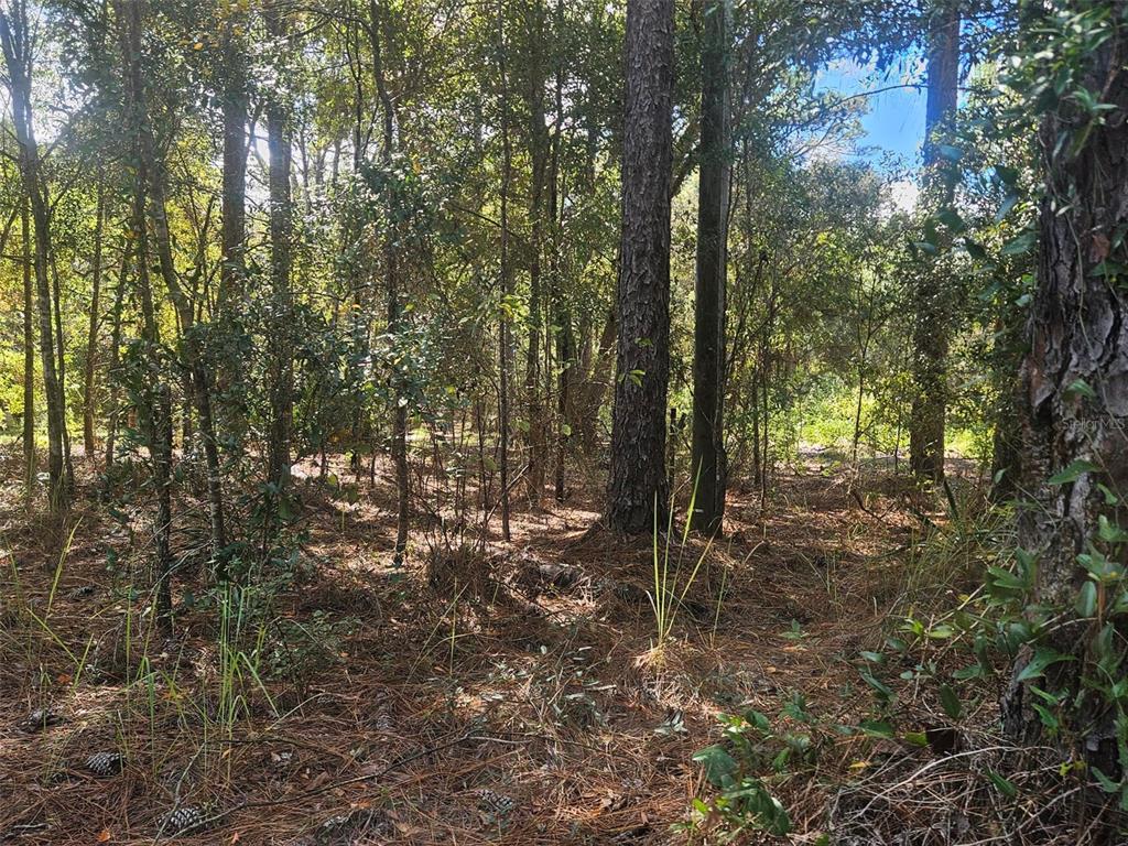 Property for sale at XXXX SW 92ND PLACE SW, DUNNELLON, FL, 34432