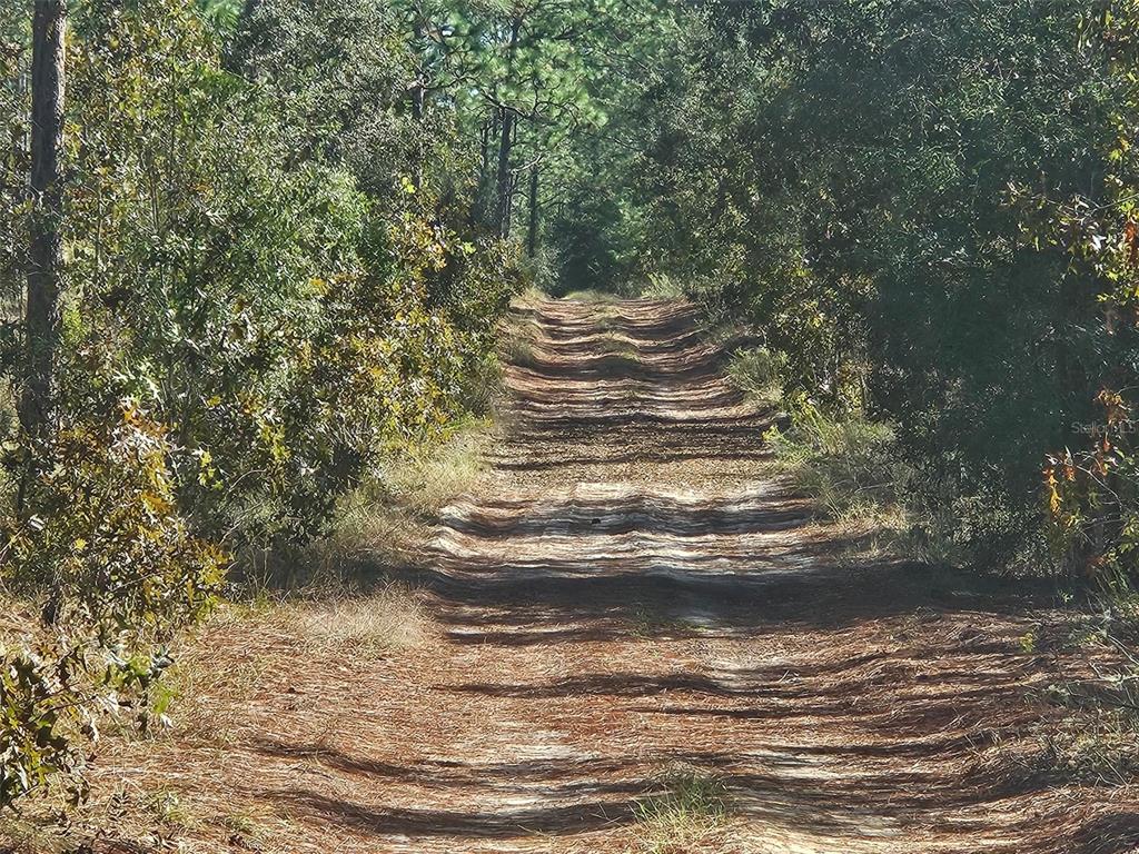 Property for sale at XXXX SW 92ND PLACE SW, DUNNELLON, FL, 34432