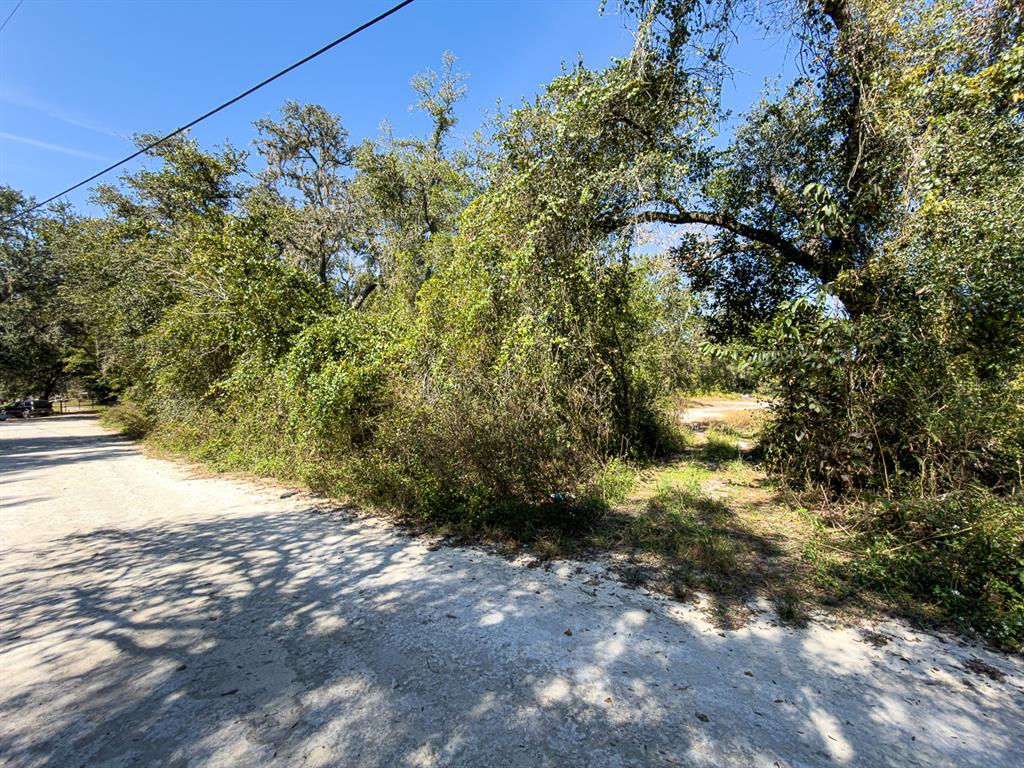 Property for sale at 34095 HYATT RD, DADE CITY, FL, 33523