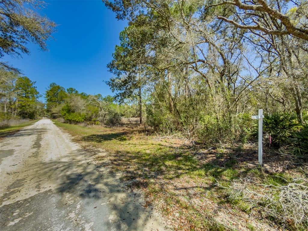 Property for sale at 7262 SONIA AVENUE, WEBSTER, FL, 33597