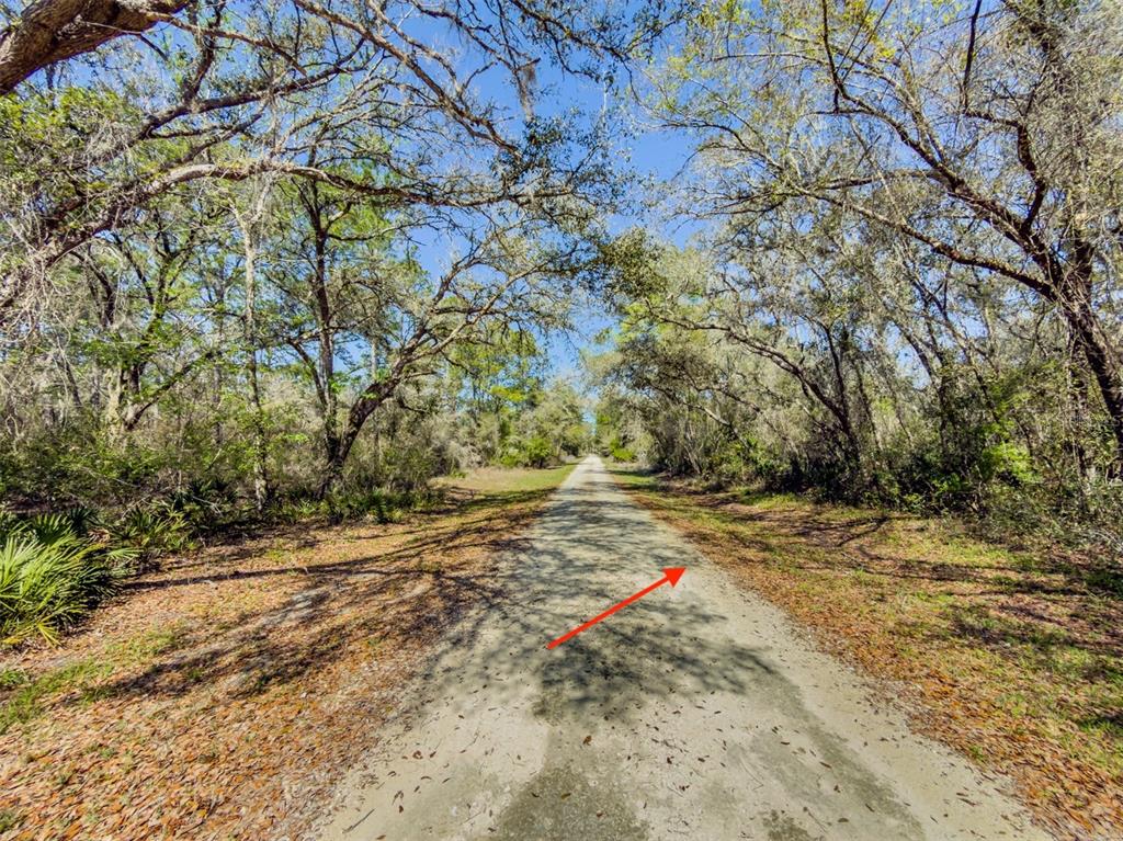Property for sale at 7262 SONIA AVENUE, WEBSTER, FL, 33597