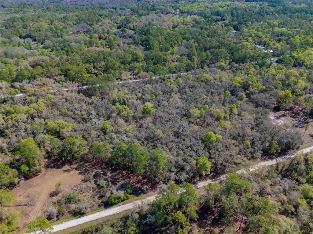 Property for sale at 7262 SONIA AVENUE, WEBSTER, FL, 33597