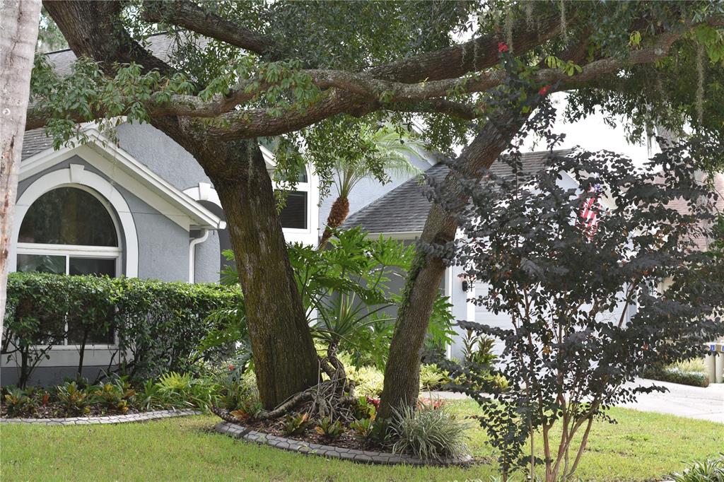 Property for sale at 4605 OAK RIVER CIRCLE, VALRICO, FL, 33596