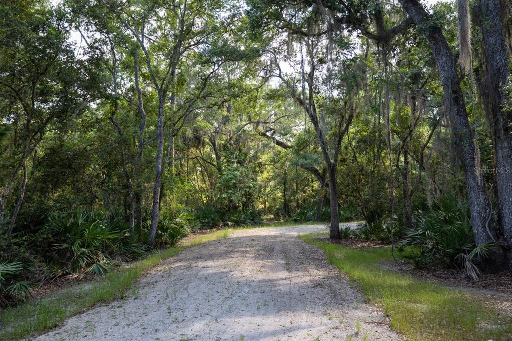 Driveway