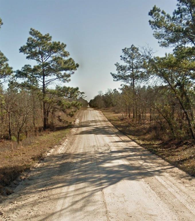 Property for sale at SE 23RD PLACE, MORRISTON, FL, 32668