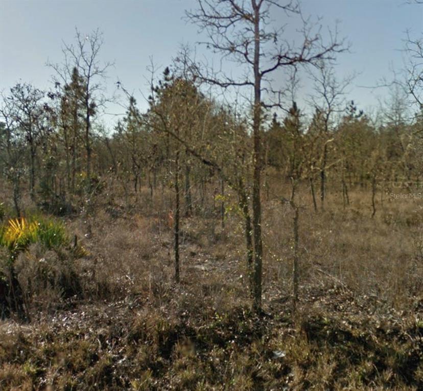 Property for sale at SE 23RD PLACE, MORRISTON, FL, 32668
