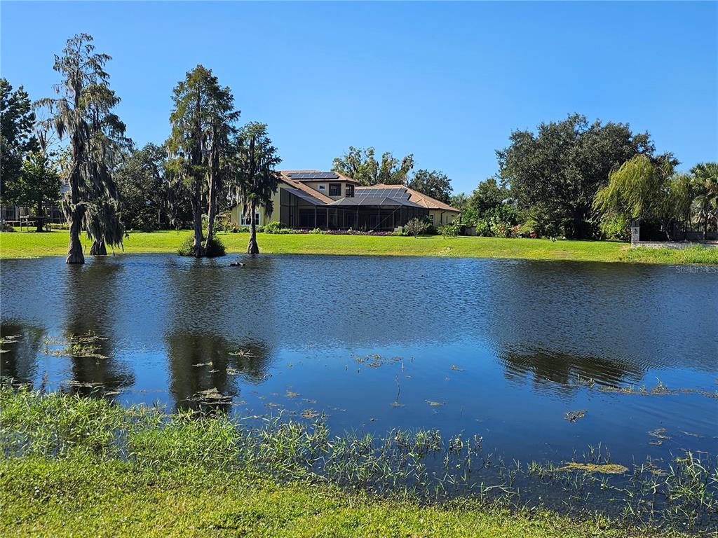 Property for sale at 17933 PATTERSON ROAD, ODESSA, FL, 33556