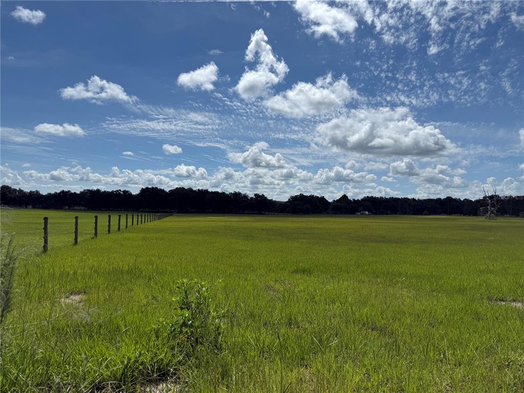 Property for sale at SW 60TH AVE, BUSHNELL, FL, 33513