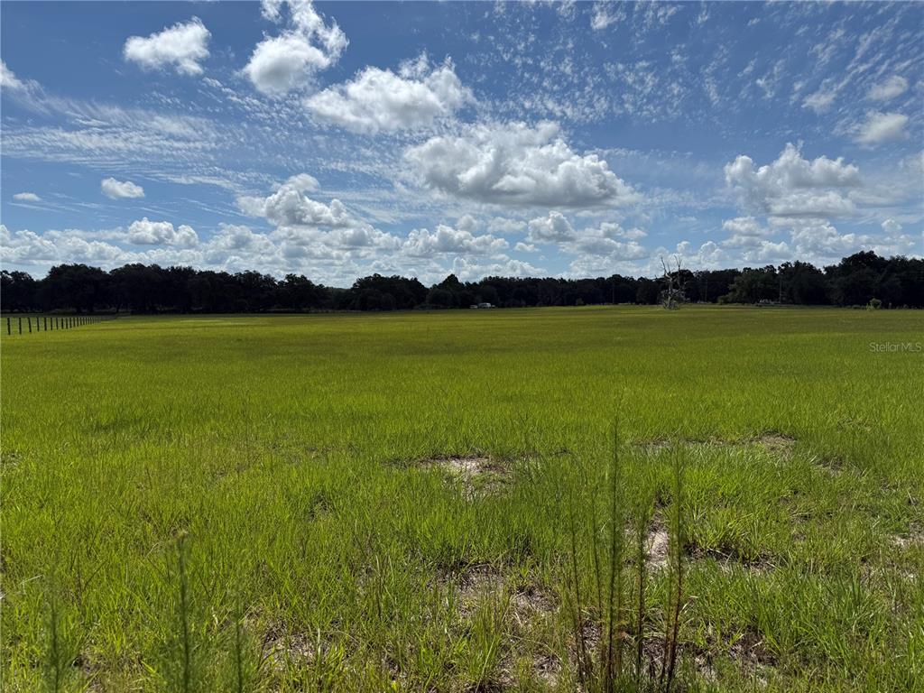 Property for sale at SW 60TH AVE, BUSHNELL, FL, 33513