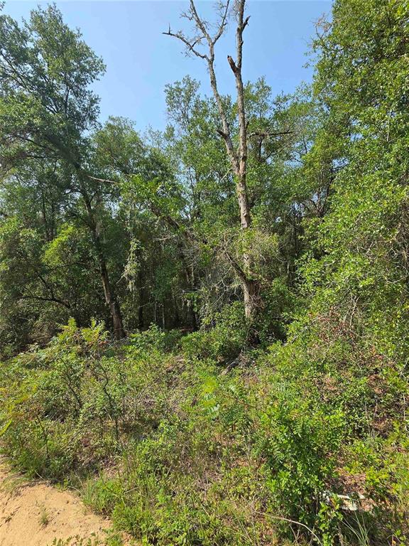 Property for sale at 0 SHERMAN DRIVE CIRCLE, INTERLACHEN, FL, 32148