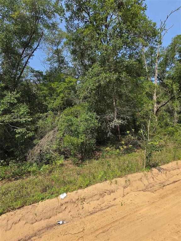 Property for sale at 0 SHERMAN DRIVE CIRCLE, INTERLACHEN, FL, 32148