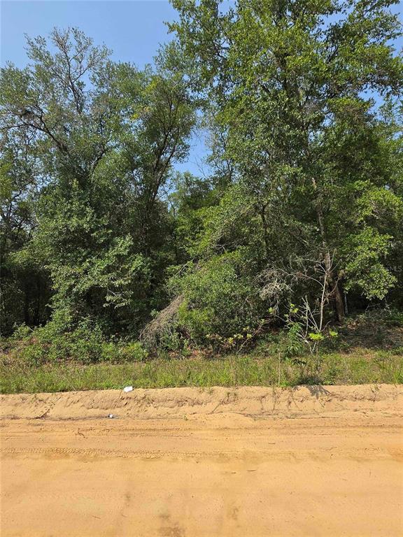 Property for sale at 0 SHERMAN DRIVE CIRCLE, INTERLACHEN, FL, 32148