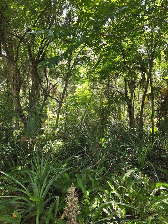 Property for sale at DUTTON AVENUE, DELAND, FL, 32720
