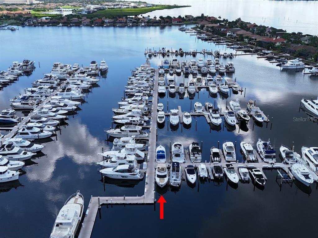 Slip Location on South Dock