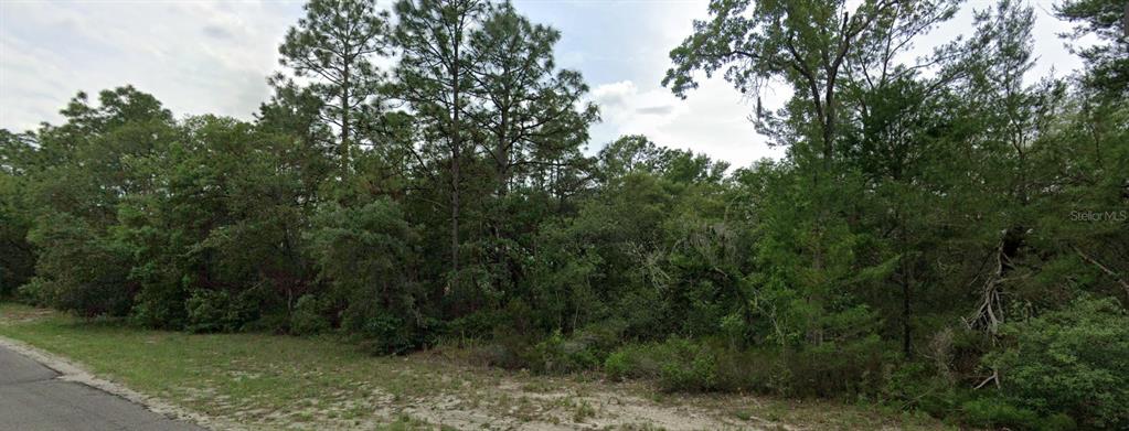 1.25 Acres