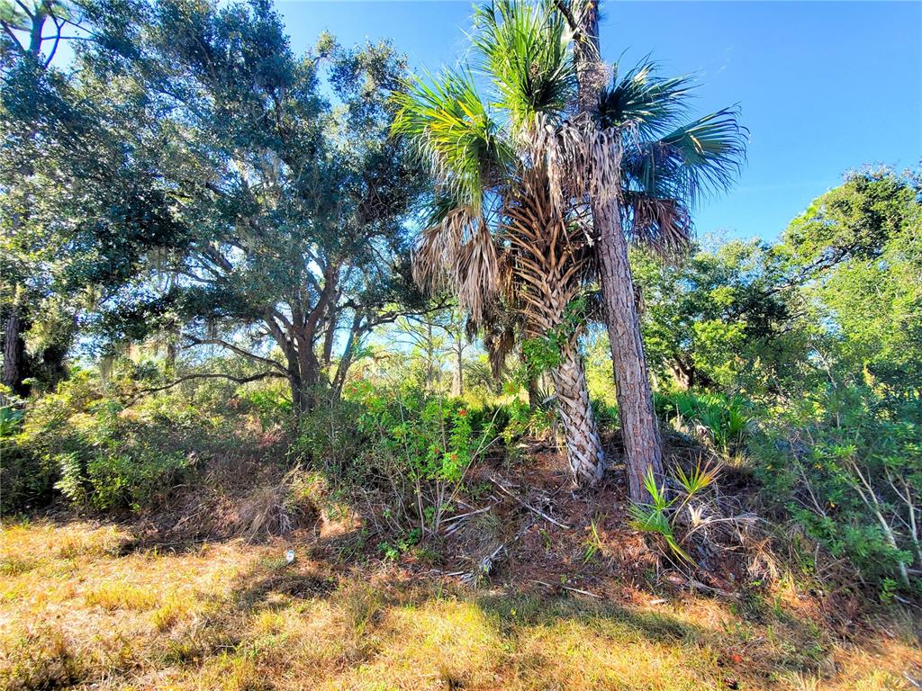 Property for sale at 1603 FRISCO TERRACE, PORT CHARLOTTE, FL, 33953