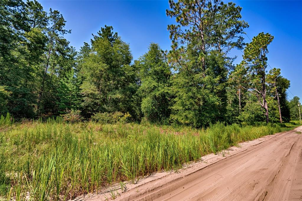 Property for sale at 000 NE 83RD LANE, BRONSON, FL, 32621