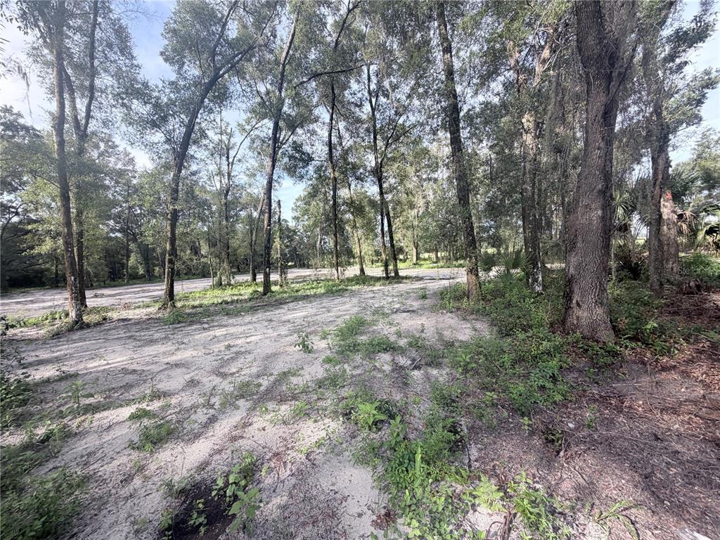 Property for sale at SW 150TH STREET, DUNNELLON, FL, 34432