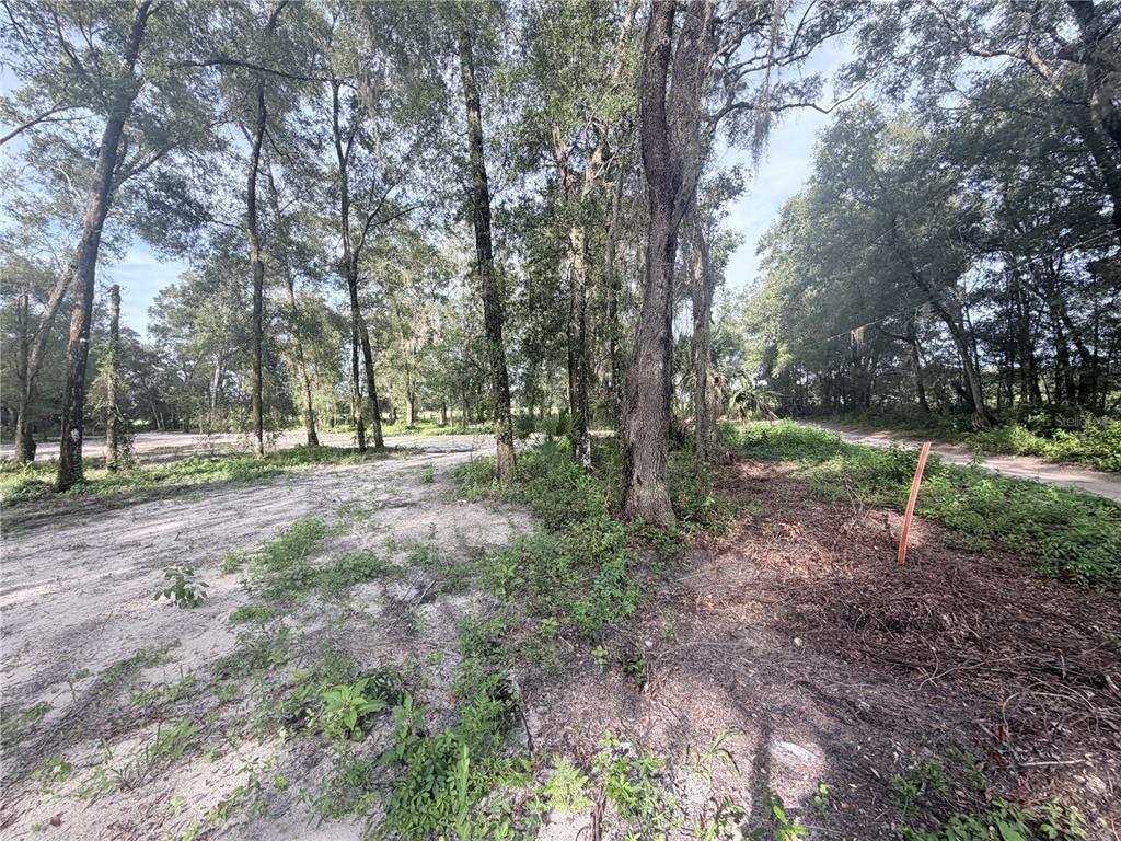 Property for sale at SW 150TH STREET, DUNNELLON, FL, 34432
