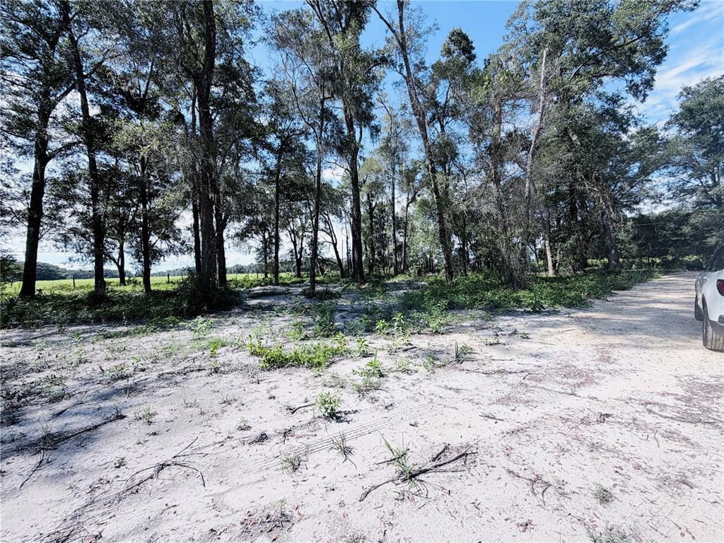 Property for sale at SW 150TH STREET, DUNNELLON, FL, 34432
