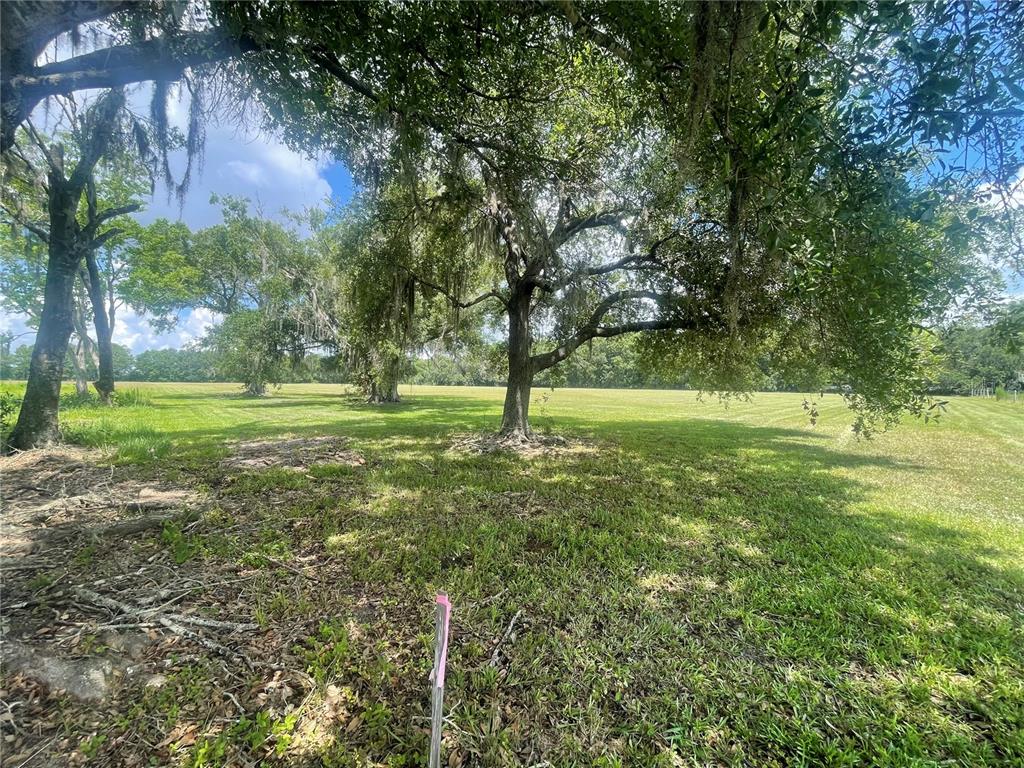 Property for sale at N/A, BUNNELL, FL, 32110