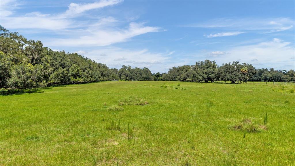 Property for sale at 1620 SPARKMAN ROAD, PLANT CITY, FL, 33566