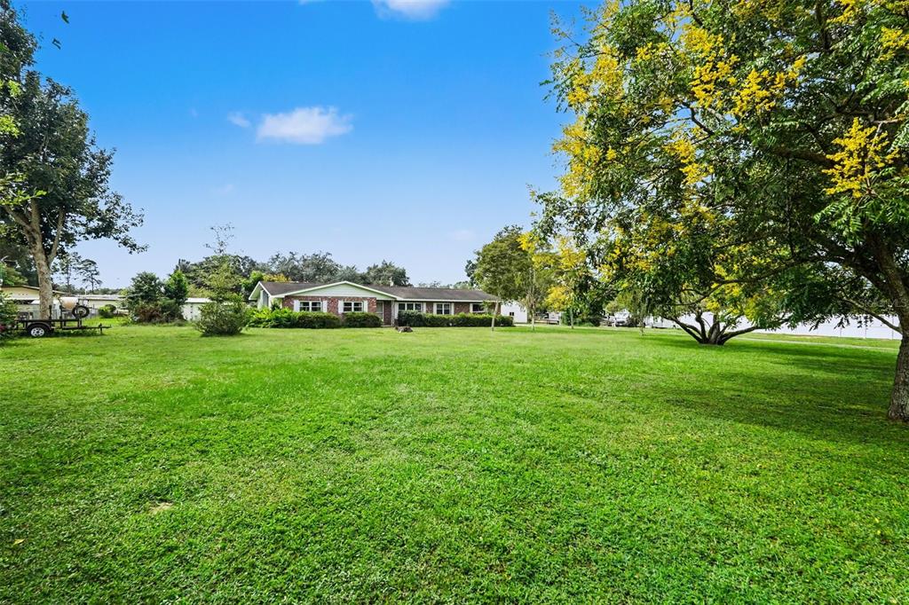Manicured Lawn