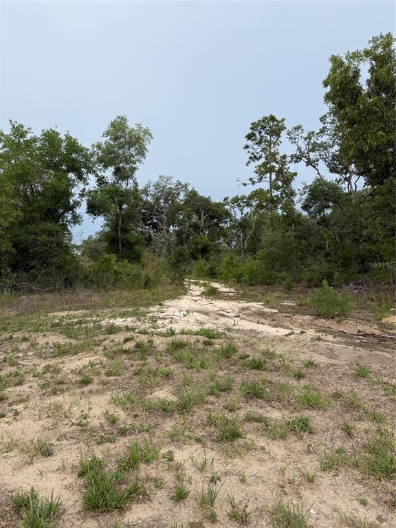 Property for sale at 11656 S FLORIDA AVENUE, FLORAL CITY, FL, 34436