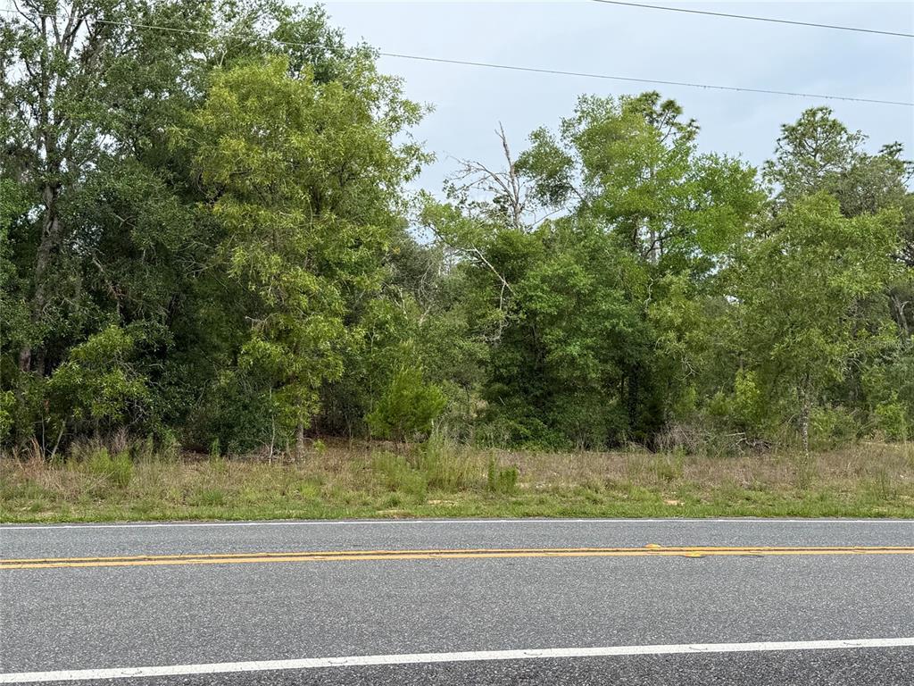 Property for sale at 11656 S FLORIDA AVENUE, FLORAL CITY, FL, 34436