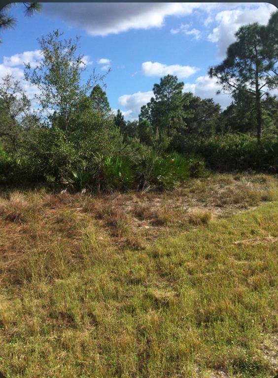 Property for sale at 1604 5TH AVENUE, LEHIGH ACRES, FL, 33972