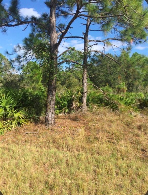 Property for sale at 1604 5TH AVENUE, LEHIGH ACRES, FL, 33972