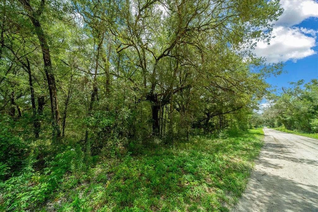 Property for sale at TBD SW 131ST TERRACE, DUNNELLON, FL, 34432