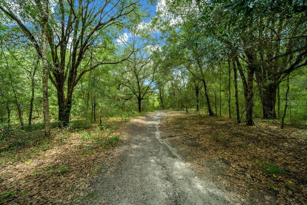 Property for sale at TBD SW 131ST TERRACE, DUNNELLON, FL, 34432