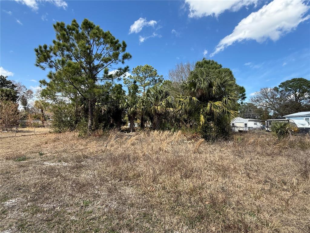 Property for sale at 1069 MASSEY ROAD, NEW SMYRNA BEACH, FL, 32168
