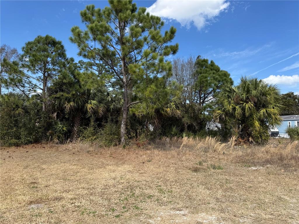 Property for sale at 1069 MASSEY ROAD, NEW SMYRNA BEACH, FL, 32168