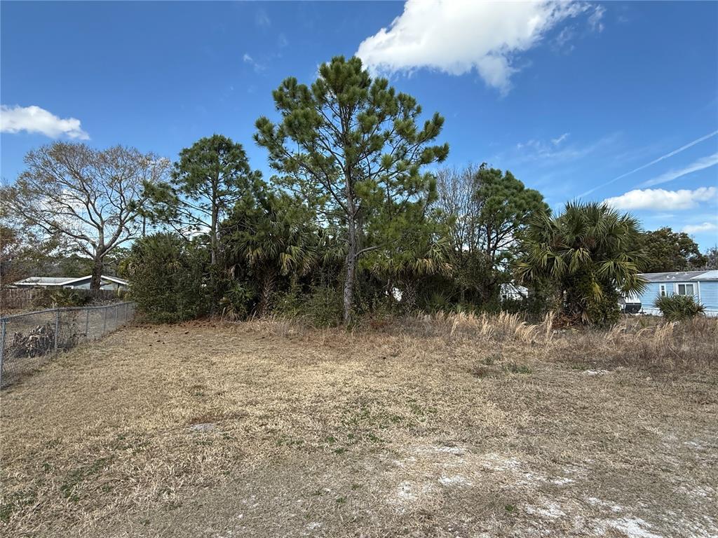 Property for sale at 1069 MASSEY ROAD, NEW SMYRNA BEACH, FL, 32168