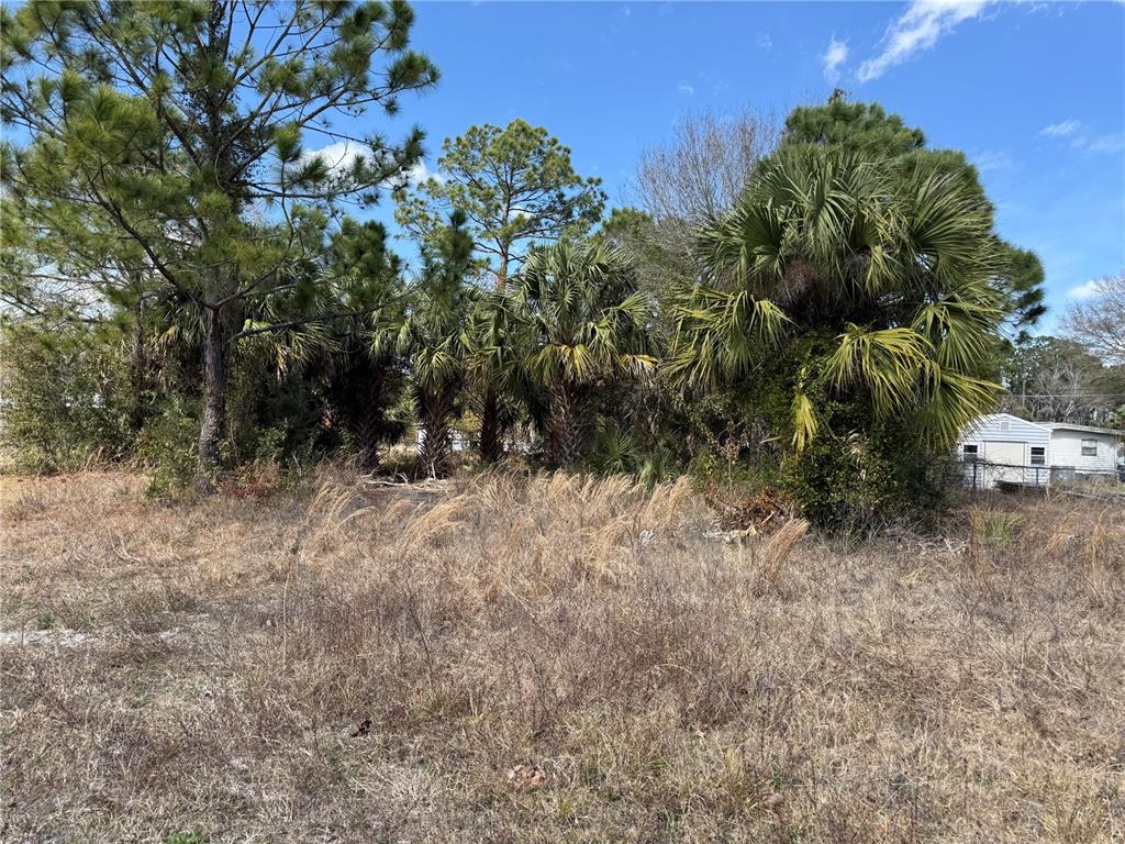 Property for sale at 1069 MASSEY ROAD, NEW SMYRNA BEACH, FL, 32168