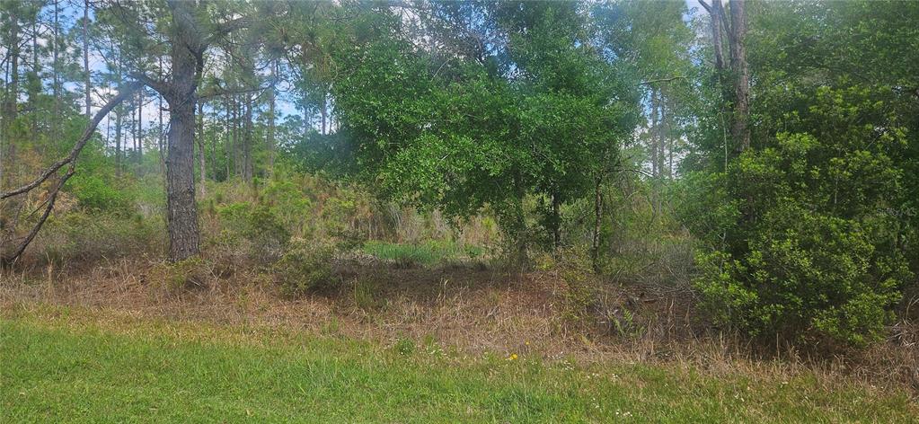 Property for sale at 408 PANDORA DRIVE, INDIAN LAKE ESTATES, FL, 33855