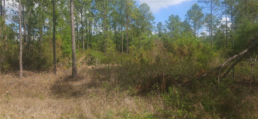 Property for sale at 408 PANDORA DRIVE, INDIAN LAKE ESTATES, FL, 33855