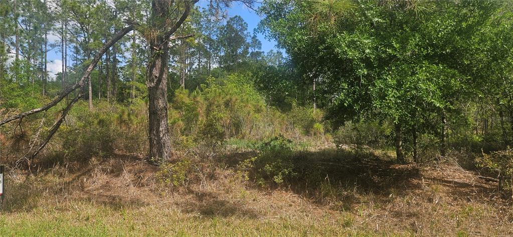 Property for sale at 408 PANDORA DRIVE, INDIAN LAKE ESTATES, FL, 33855