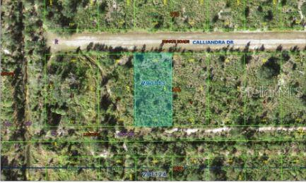 Property for sale at CALLIANDRA DRIVE, INDIAN LAKE ESTATES, FL, 33855