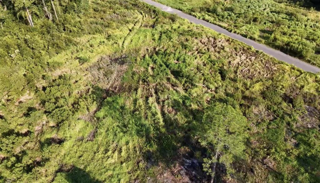 Property for sale at AVONWOOD, TAMPA, FL, 33625