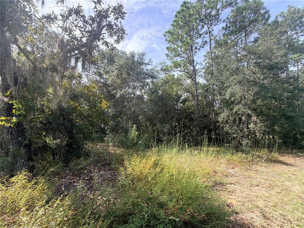 Property for sale at 5066 E ANNA JO DRIVE, INVERNESS, FL, 34452