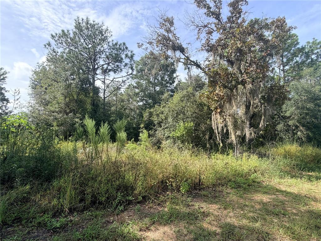 Property for sale at 5066 E ANNA JO DRIVE, INVERNESS, FL, 34452